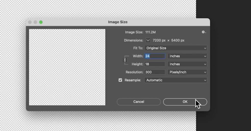 setup your canvas size for print